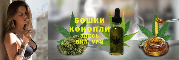 ГАЛЛЮЦИНОГЕННЫЕ ГРИБЫ Бронницы